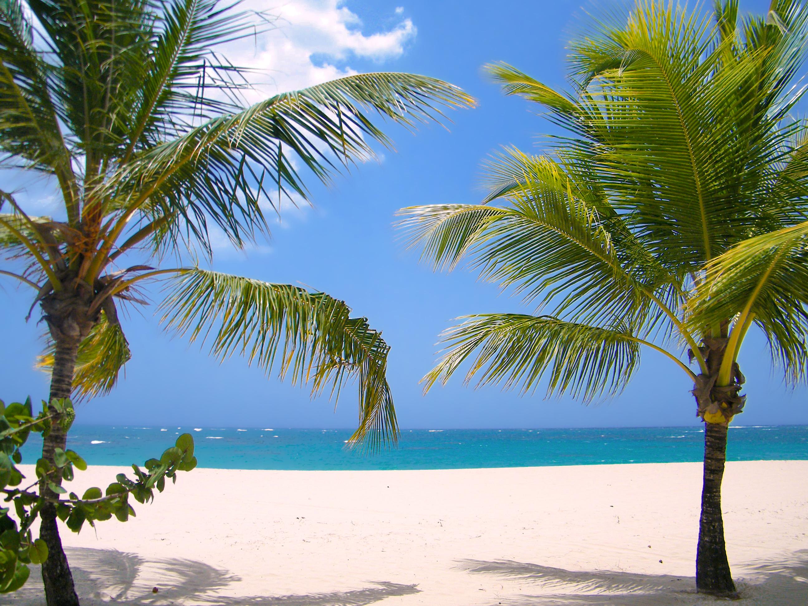 Viva Heavens By Wyndham, A Trademark All Inclusive (Adults Only) Puerto Plata Exterior foto