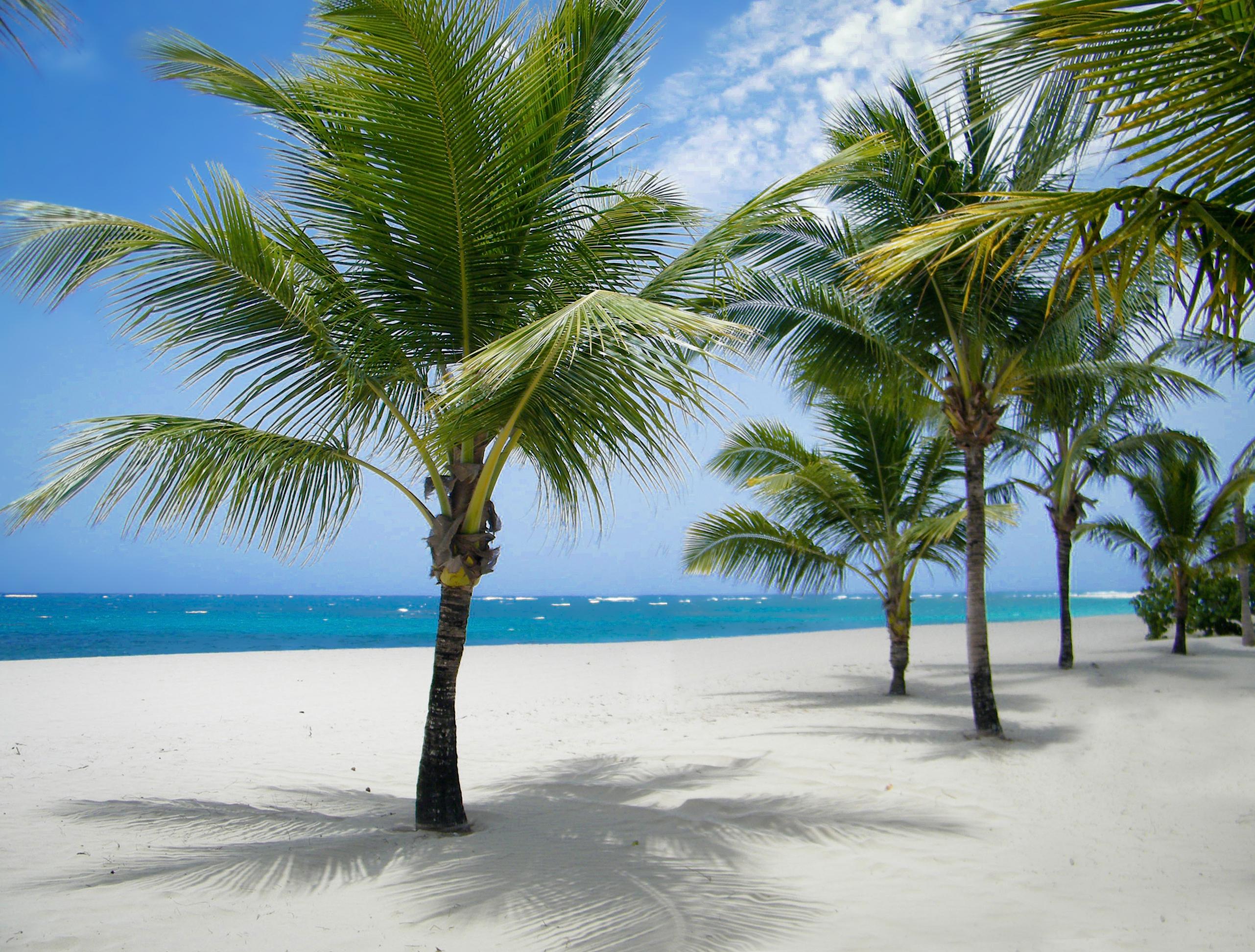 Viva Heavens By Wyndham, A Trademark All Inclusive (Adults Only) Puerto Plata Exterior foto